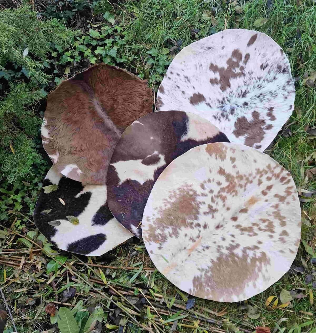 Setdeal 4 huiden plus 1 gratis - 3