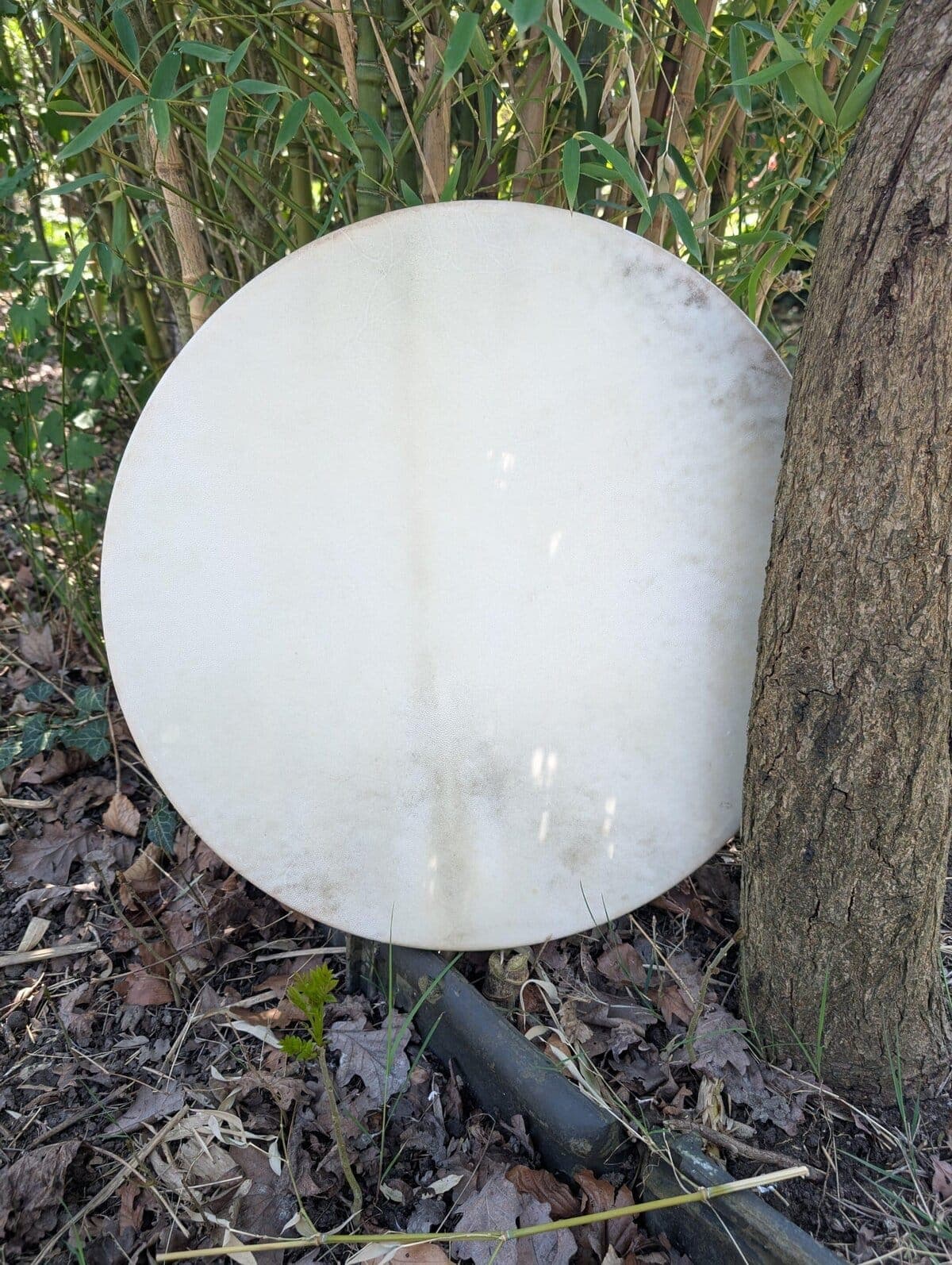 Sjamanendrums perkament zonder haar