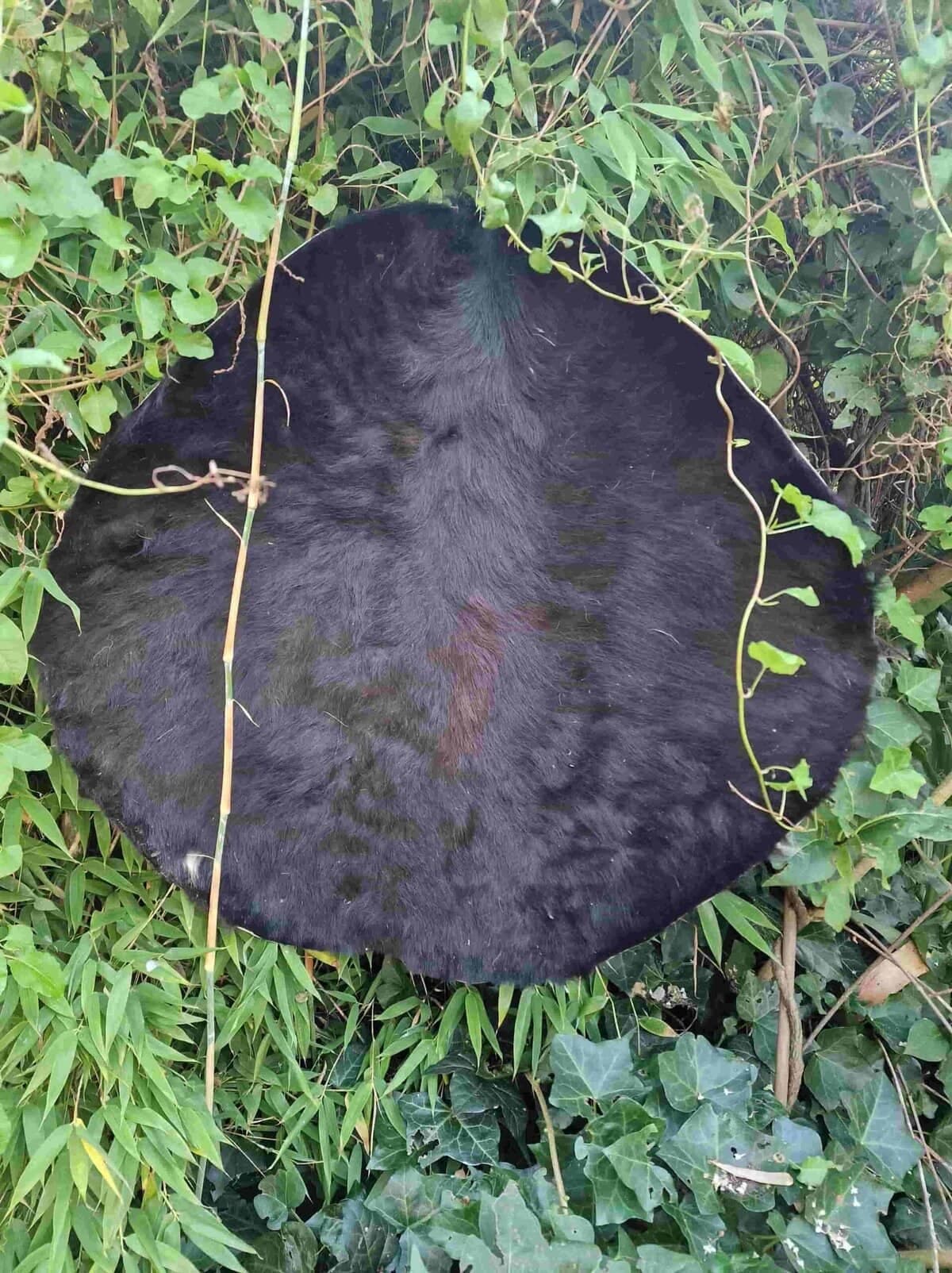 Speciale drumvellen extra groot - 2