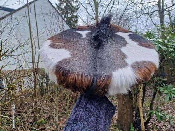 Sjamanendrum 35 cm Geit op Wilg en Maansteen - 2