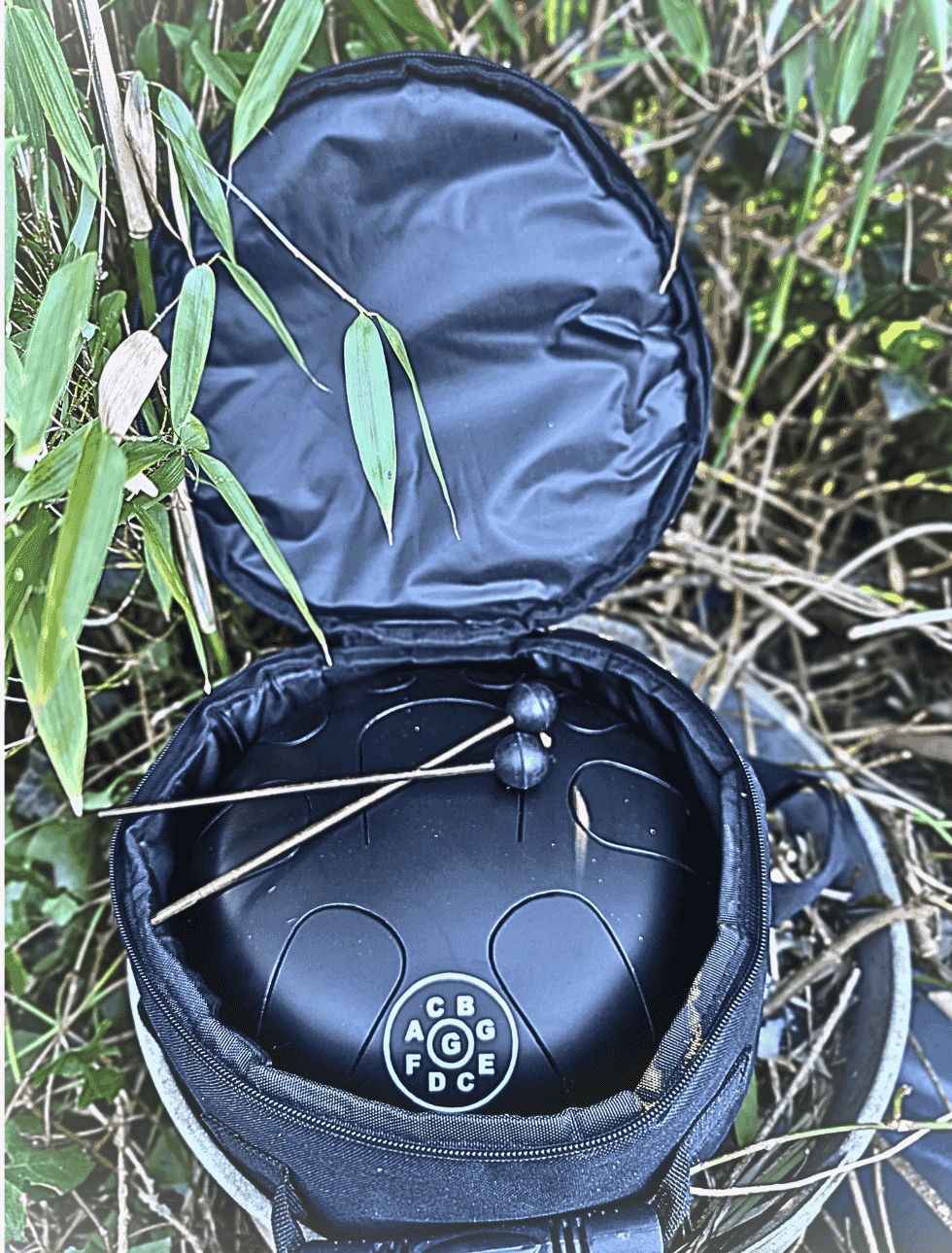 Muziekinstrument de Tongdrum