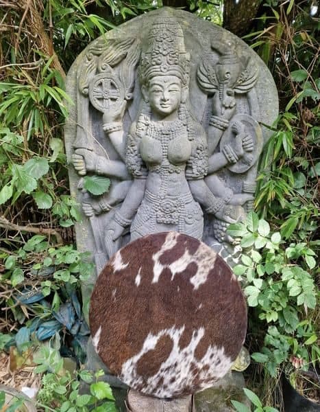 Sjamanendrum 45 cm Koe op Moerbei en Blauwe Apatiet