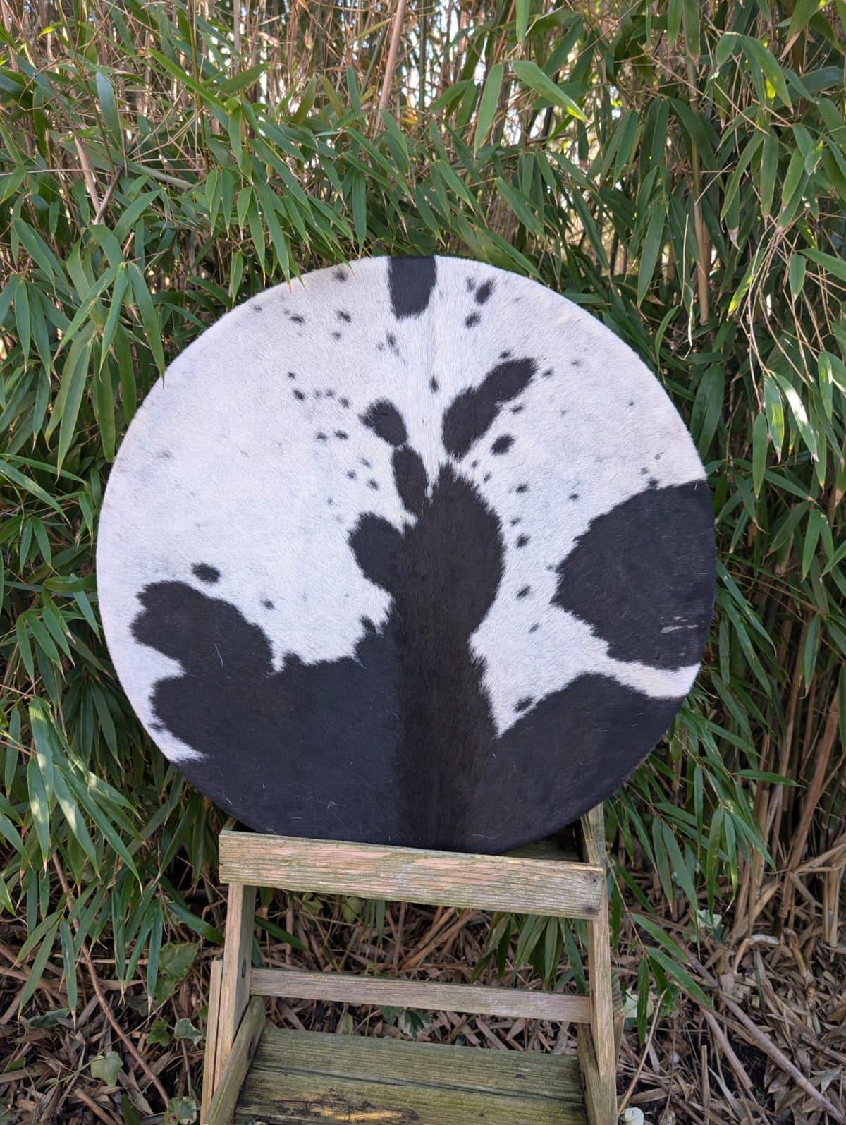 Sjamanendrums met haar 50 cm