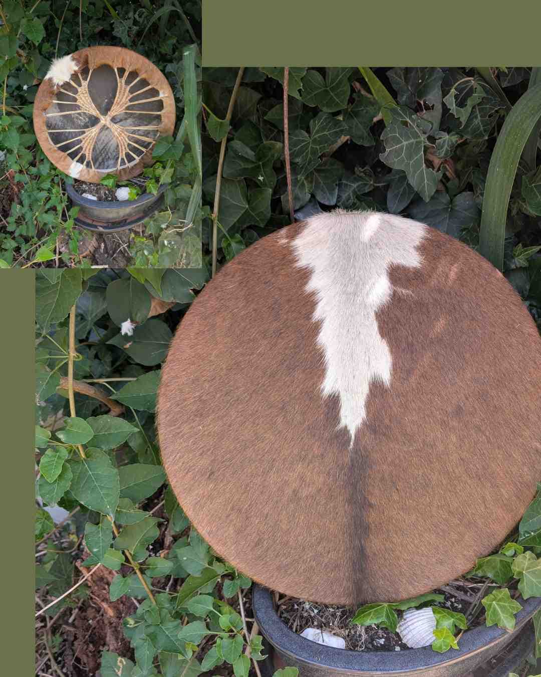 Sjamanendrums Paard en Koe 40 cm