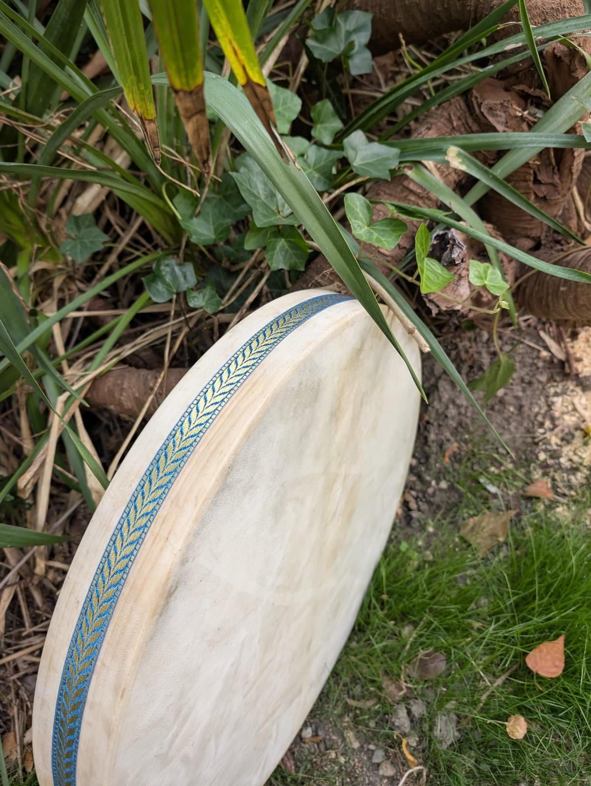 Oceandrums - 3