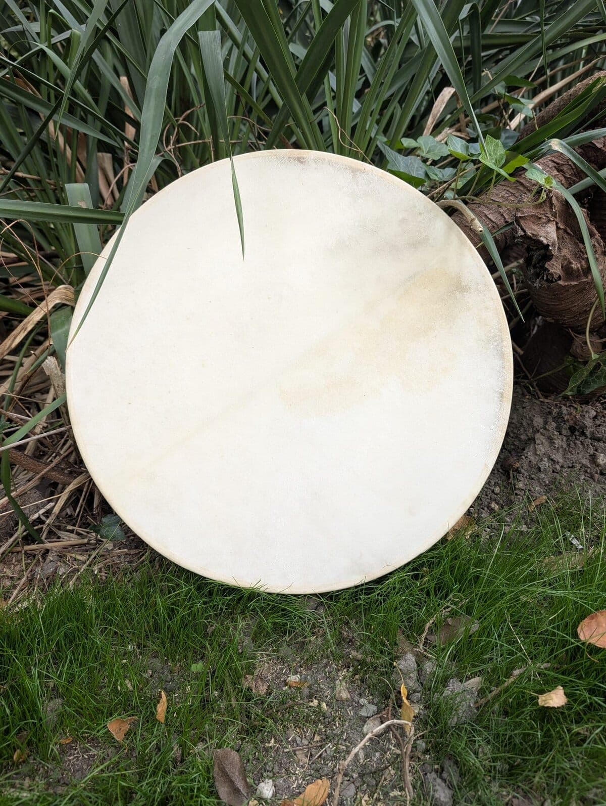 Oceandrums